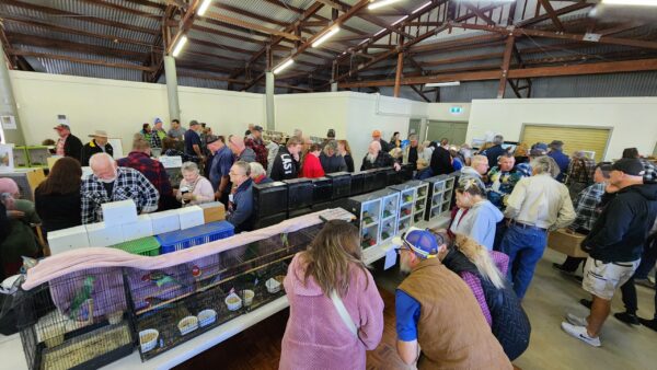 2025 Annual Bird Sale - Image 6