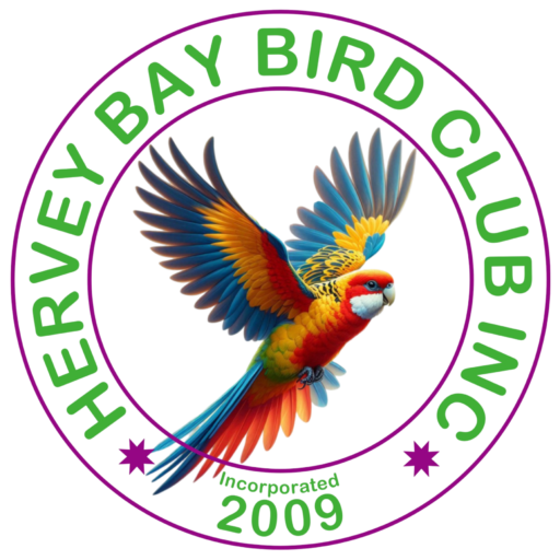 Hervey Bay Bird Club Inc.